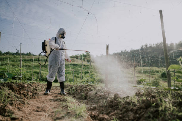 Best Local Pest Control Services  in Sheridan, OR