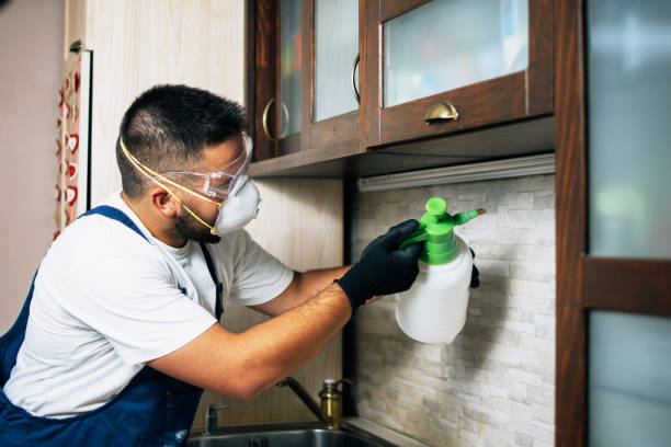 Best Insect Control  in Sheridan, OR