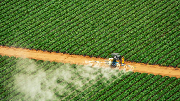 Best Pest Removal Services  in Sheridan, OR