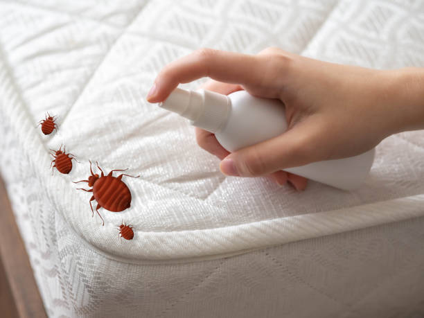 Best Termite Control Services  in Sheridan, OR