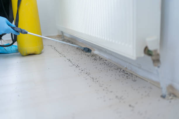 Best Wasp Removal Services  in Sheridan, OR