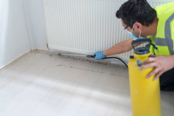 Best Pest Prevention Services  in Sheridan, OR