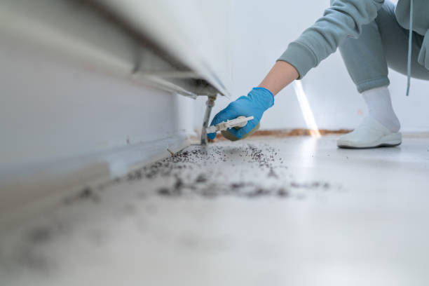 Best Commercial Pest Control Services  in Sheridan, OR
